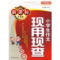 现用现查小学生作文（新课标升级版）