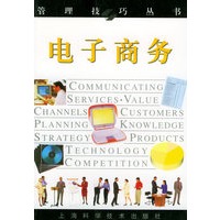 电子商务——管理技巧丛书
