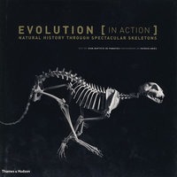 Evolution （in Action）： Natural History Through Spectacular Skeletons 进化在行动：骨骼的自然史