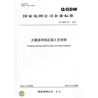 Q／GDW 571-2010 大截面导线压接工艺导则