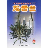 龙舌兰——百花盆栽图说丛书