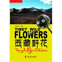 西藏之美-生物多样性丛书--西藏野花