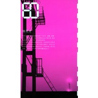 烟花烫——80后生态