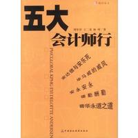 五大会计师行