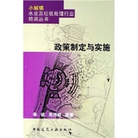 政策制定与实施——小城镇水业及垃圾处理行业培训丛书