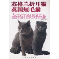 苏格兰折耳猫.英国短毛猫