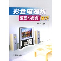 彩色电视机原理与维修技巧