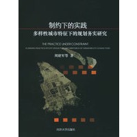 制约下的实践：多样性城市特征下的规划务实研究