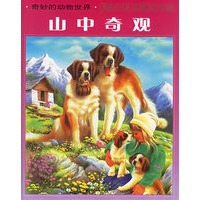 山中奇观/奇妙的动物世界