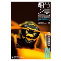 细节之美：你也能掌握的微距摄影技法（全彩）