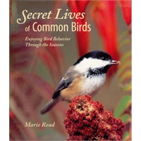 Secret Lives of Common Birds（ISBN=9780618558728）