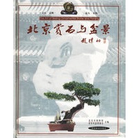 北京赏石与盆景
