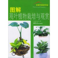 图解观叶植物栽培与观赏