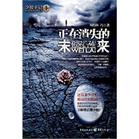 正在消失的未来