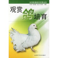 观赏鸽培育