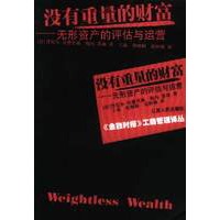 没有重量的财富:无形资产的评估与运营