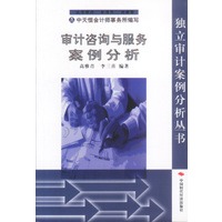 审计咨询与服务案例分析