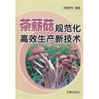 茶薪菇规范化高效生产新技术