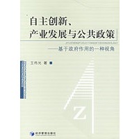 自主创新、产业发展与公共政策——基于政府作用的一种视角