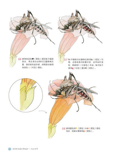 rt7ɫǦʻ滭ʵý̳̳ŷӾʵ97872516