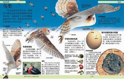 插图