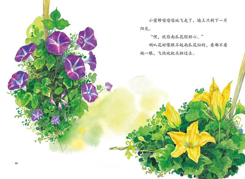 插图