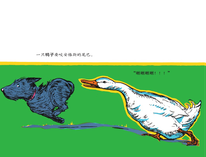 插图