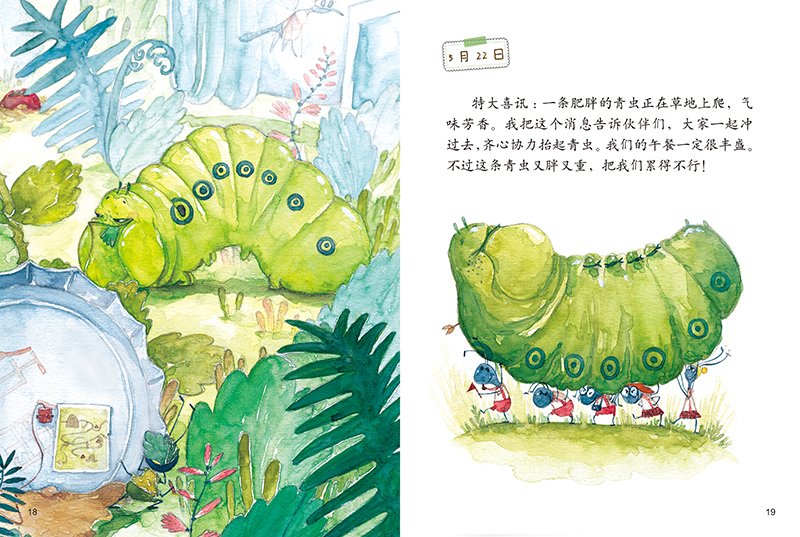 插图