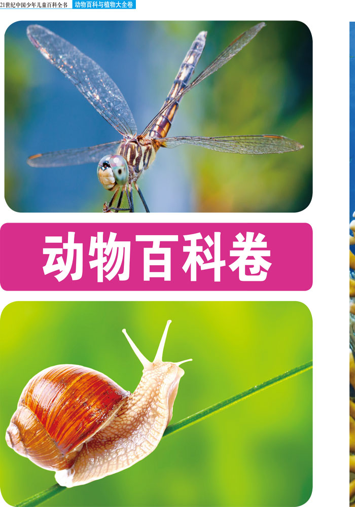 动物百科与植物大全卷---21世纪中国少年儿童百科全书