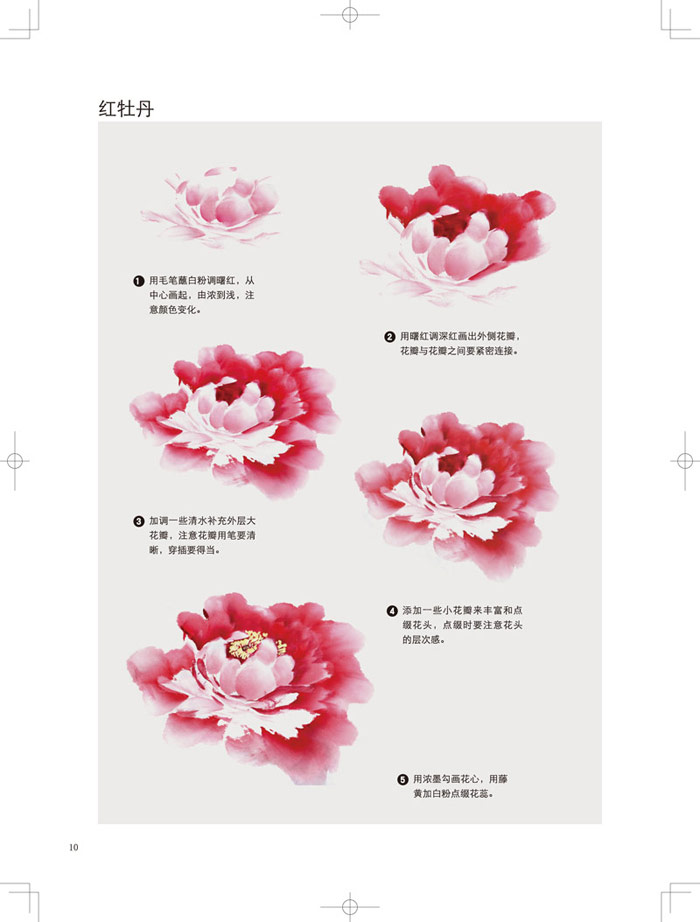 [全新正版包邮]国画入门--妙趣横生画牡丹\/郭大