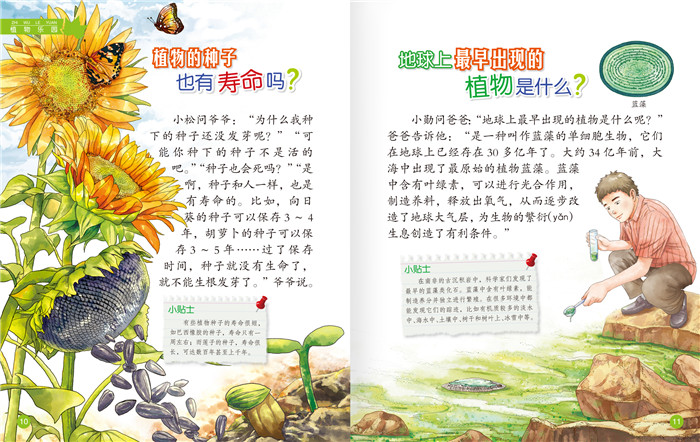插图