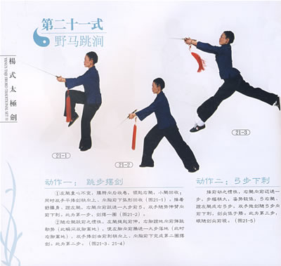 杨式太极:传统51式剑(书 dvd)