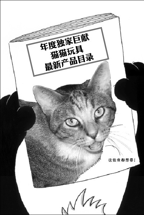 插图