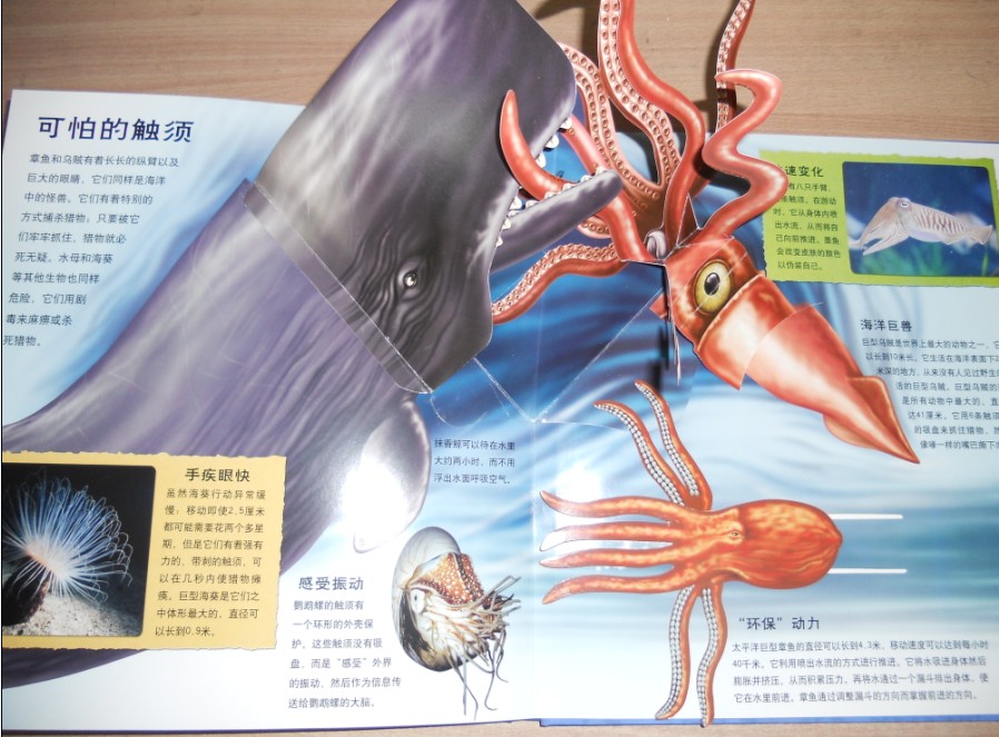 插图