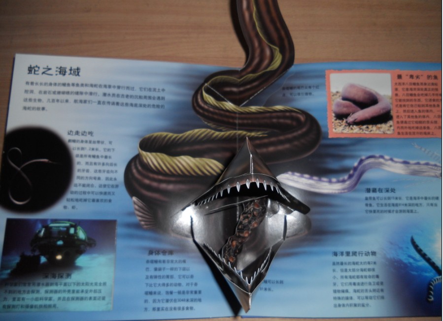 插图