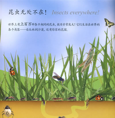 插图