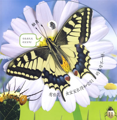 插图