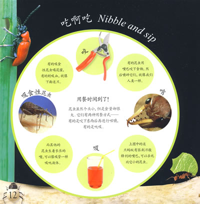 插图