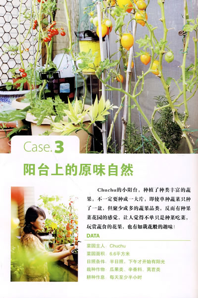家庭养生菜园(小面积耕种的圣经,浓浓的自然情怀和崇高的环保理念) - 阎红卫 - 阎红卫经赢之道策划产业联盟 插图