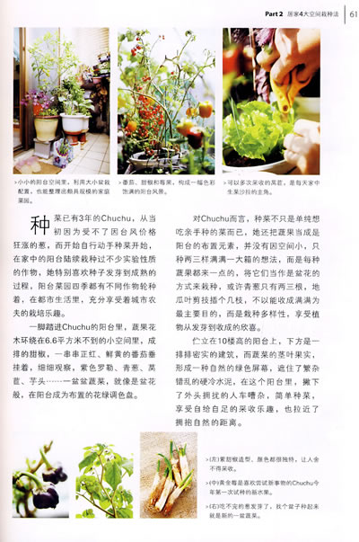 家庭养生菜园(小面积耕种的圣经,浓浓的自然情怀和崇高的环保理念) - 阎红卫 - 阎红卫经赢之道策划产业联盟 插图