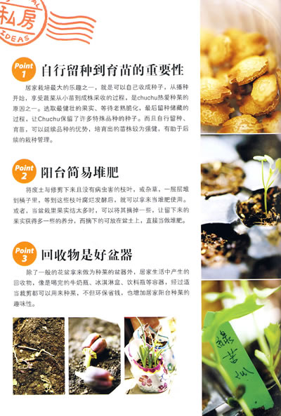 家庭养生菜园(小面积耕种的圣经,浓浓的自然情怀和崇高的环保理念) - 阎红卫 - 阎红卫经赢之道策划产业联盟 插图