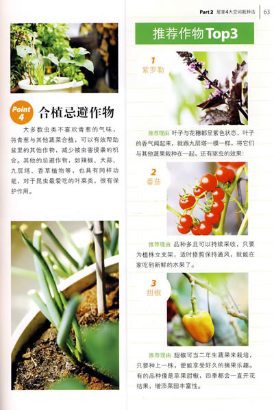 家庭养生菜园(小面积耕种的圣经,浓浓的自然情怀和崇高的环保理念) - 阎红卫 - 阎红卫经赢之道策划产业联盟 插图