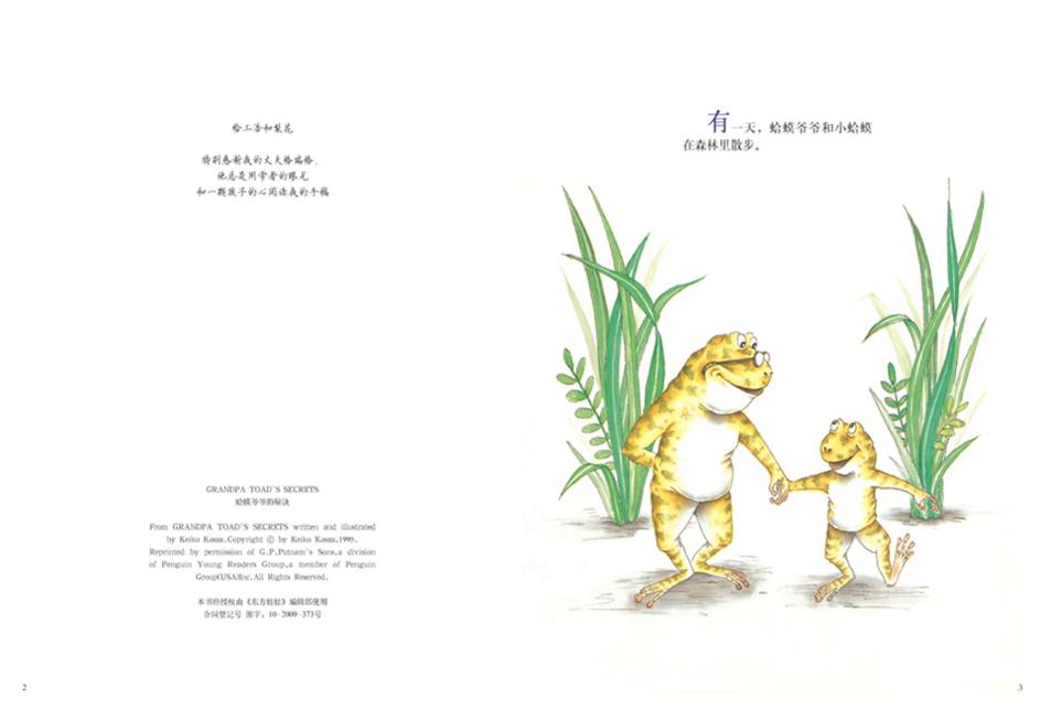 插图