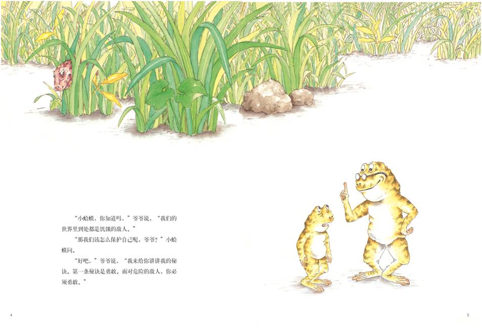 插图