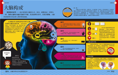 "有趣的科学"一(精装数学 大脑 金融 化学)(绿色印刷)(英国dk经典套装