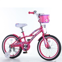 TPT 荣知园 18寸 美丽经典 儿童自行车