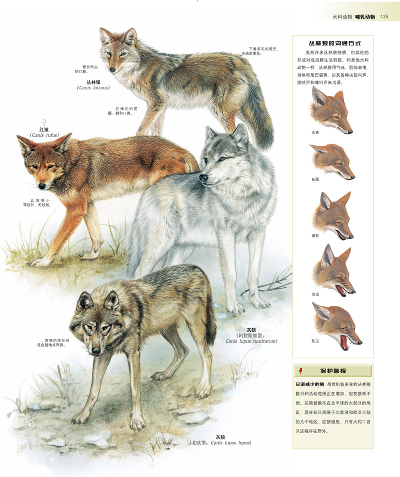 201405091525191033.jpg