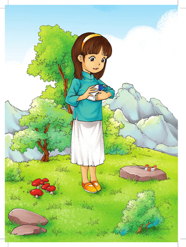 稻草人小学课外阅读指导丛书彩绘注音版