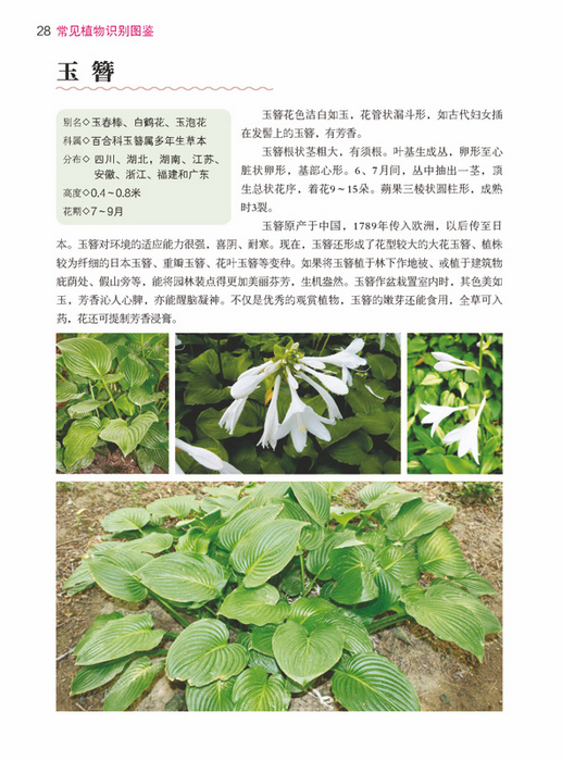 扫一扫识别植物病虫害网站 201504081433311503.jpg