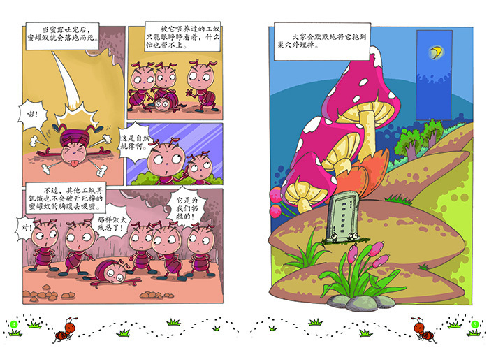 20150805135253603.jpg
